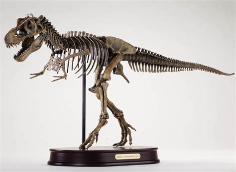 dinosaur bones fake|real dinosaur skeleton for sale.